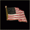 American Flag Pin