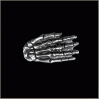 Skeleton Hand Pin