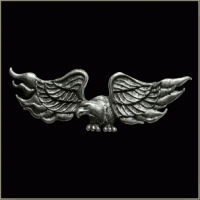 Flaming Eagle Pin