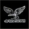 Eagle Suzuki Motorcycle Pin