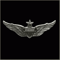 Senior Aviator Wings Military Pin