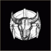Buffalo Skull Pin