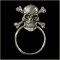 Skull n Crossbones Sunglass Holder Pin