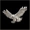 Fishing Eagle Pin