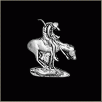 Wounded Warrior Pin