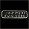 I Support Iraq Vets Pin