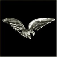 Large Eagle Pin