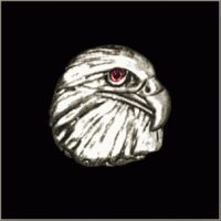 Eagle Head Pin