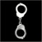 Handcuff Pin