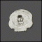 Skull Snap Head