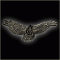 Large Landing Eagle Pin