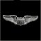 US Air Force Pilot Wing Insignia Pin