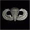 Jump Wings Pin