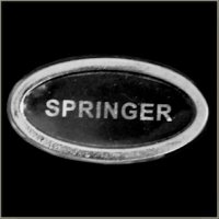 Springer Title Pin