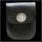 Buffalo Head Nickel Lighter Case