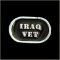 Iraq Vet Title Pin