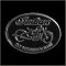 Indian Motorcycle Pin