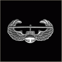 Air Assault Pin