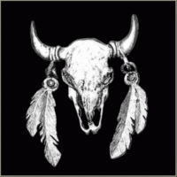 Buffalo Skull with Feathers Pin