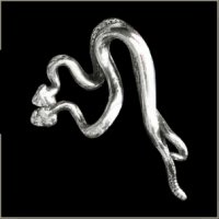 Two Snakes Pin