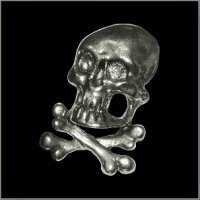 Skull n Crossbones Pin