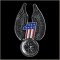 #1 Wings Wheel Pin