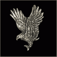 Hunting Eagle Pin