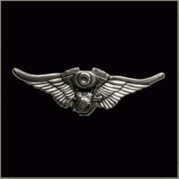 V Twin Engine Wings Pin