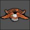 Daytona 2009 Eagle Patch