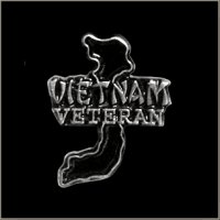 Vietnam Veteran Pin