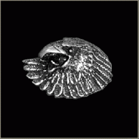Eagle Pin