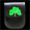 Shamrock Lighter Case