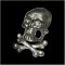 Skull n Crossbones Pin