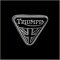 Triumph Motorcycle Pin