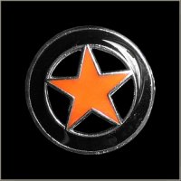 Lone Star Pin
