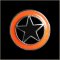 Lone Star Pin
