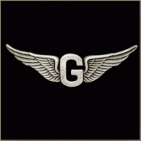 Goldwing G Pin
