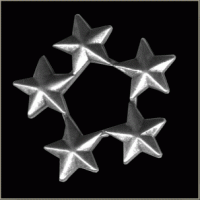 5 Star Pin