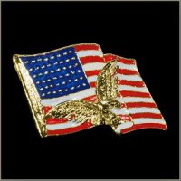 American Flag Pin