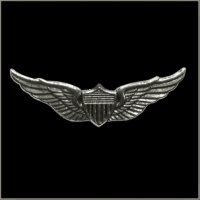 Aviator Wings Military Pin