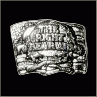 Right To Bear Arms Pin