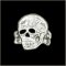 Toxic Skull Pin