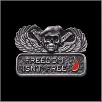 Freedom Isn't Free Pin