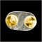 Combat Vet Title Pin