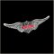 USA Motorcycles Biker Pin