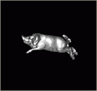 Hog Pin