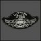 Daytona Bike Week 2010 Skull Patch