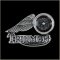 Triumph Motorcycle Pin