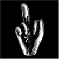 Middle Finger Pin