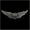 Aviator Wings Military Pin